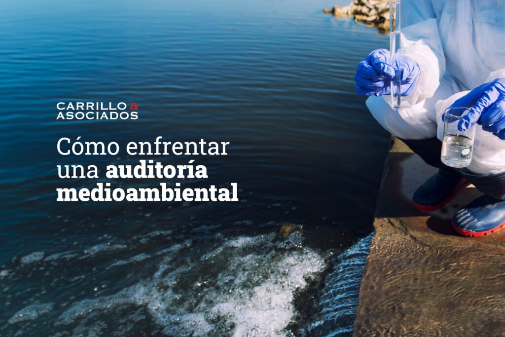 El gobierno de Bernardo Arévalo ha reforzado los controles regulatorios en al menos tres áreas: fiscal, laboral y medioambiental.